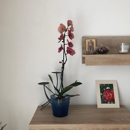 Appartement Grig Apartament à Bucarest Extérieur photo